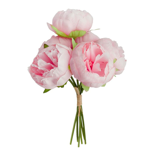 Blommor Pioner Pastellrosa