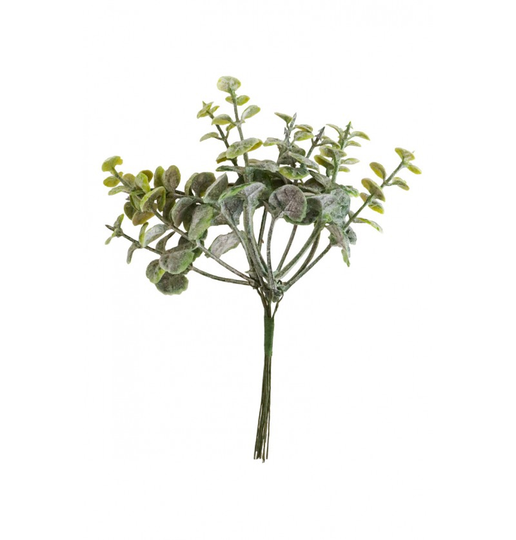 Eucalyptuskvist - Liten - 17cm