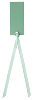 Tags - med satinband - Mint