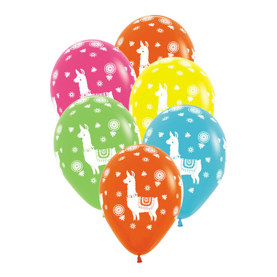 Ballonger Lama - 6-pack