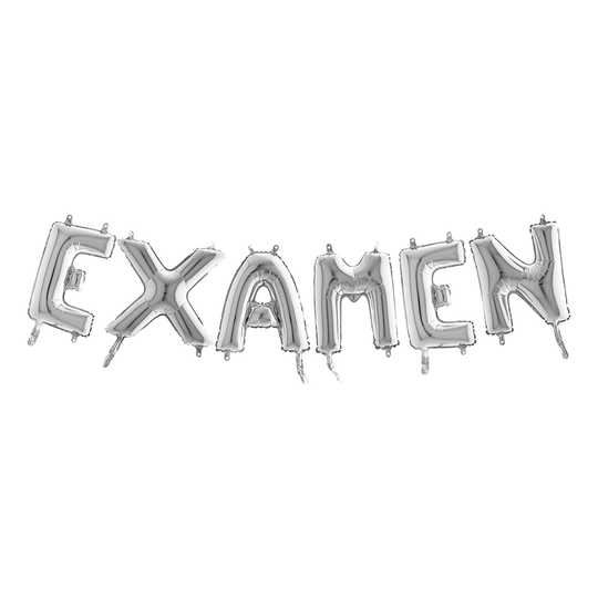 Ballonggirlang Examen Silver Metallic