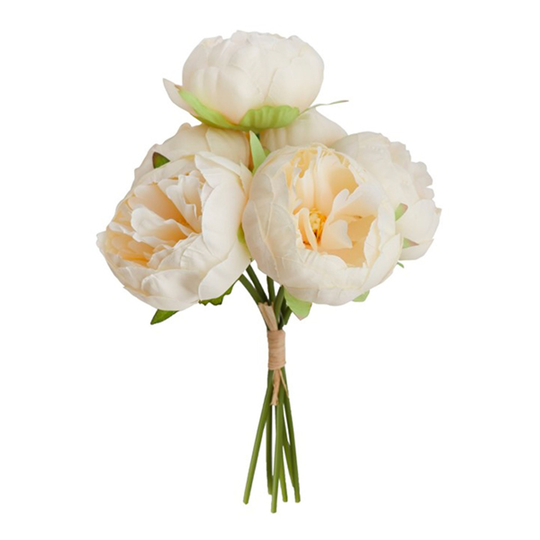 Blommor Pioner Vita