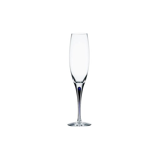 Intermezzo blå champagneglas klar 26 cl