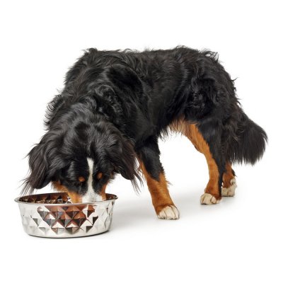 Hundmatare Hunter Rostfritt stål Elegant (180 ml)