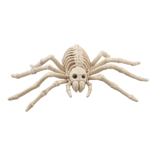 Skelett Spindel Prop